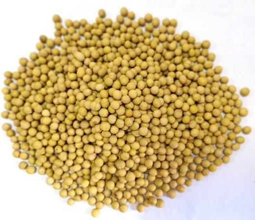 熟黄豆（5斤装） 商品图0