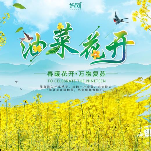 【妈网春游】3/24  千亩花田，自然风光与游乐设施应有尽有，一价游玩3大景点 即刻出行，不负春光不负你！ 商品图0