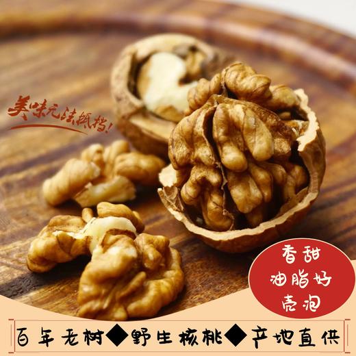 百年老树核桃 商品图0