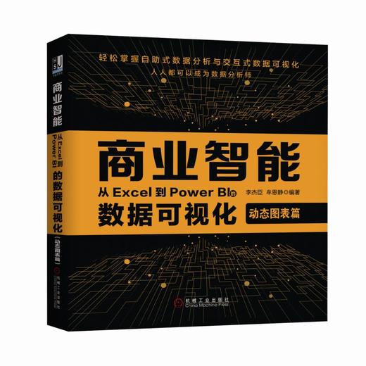 商业智能：从Excel到Power BI的数据可视化（动态图表篇） 商品图0