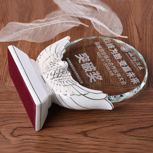 水晶奖牌 陶瓷奖杯定制 定做 奖杯 奖品 创意刻字 新款陶瓷奖杯 商品图4
