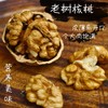 百年老树核桃 商品缩略图1