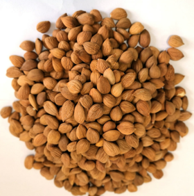 熟带皮南杏（2斤装）