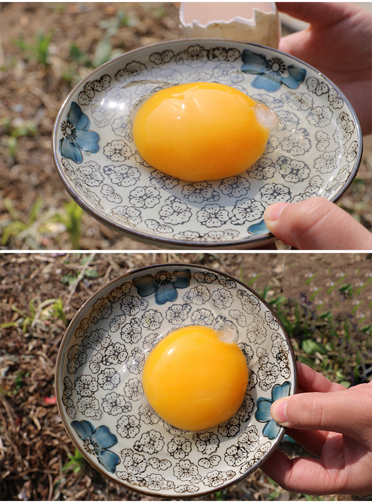 孕妈必备正宗散养鹅蛋蛋黄完整口感清香营养丰富6枚装3份包邮