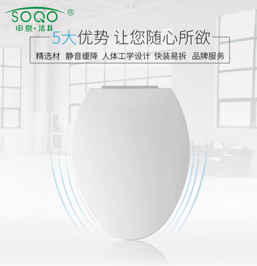 SQ：6009马桶盖尖 商品图0