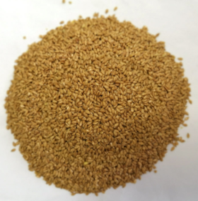 熟亚麻籽（金黄色）（5斤装）