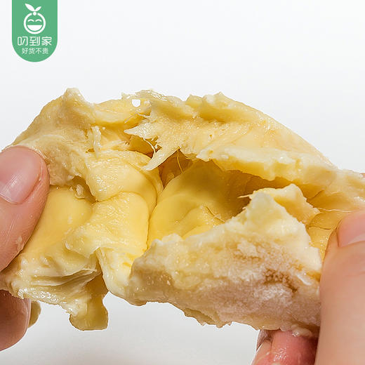 泰国无核金枕头榴莲肉250g盒装