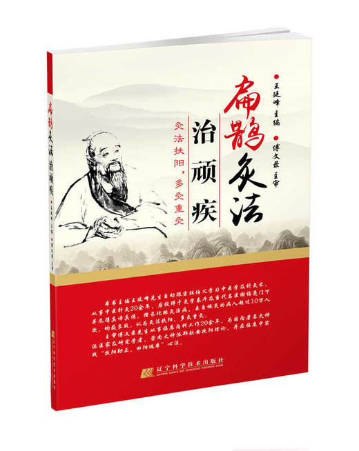  扁鹊灸法治顽疾  商品图0
