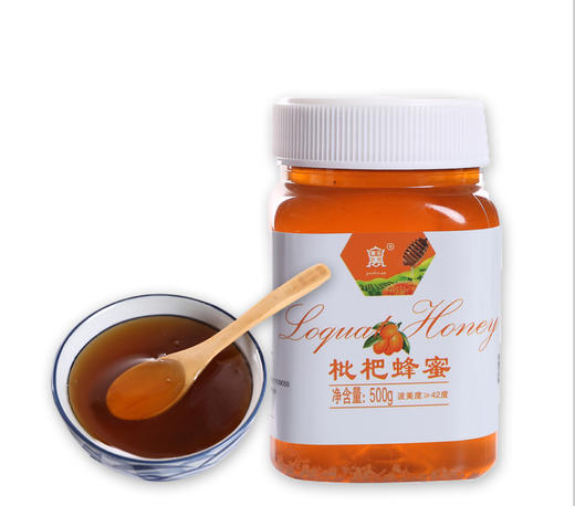 禹珍 四川特产北川高山枇杷花蜂蜜 蜂密农家土蜂蜜 500g/瓶 商品图2