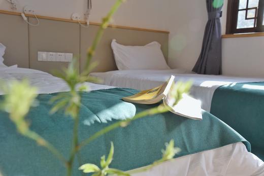 【大邑-465号民宿】单房预定，2房，去大邑的斜源小镇，依山傍水风景秀丽的共享单房xyjs 商品图4