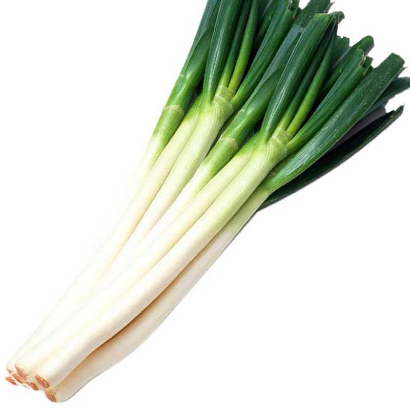 大葱(1000g±50g)
