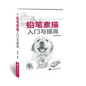  铅笔素描入门与提高 