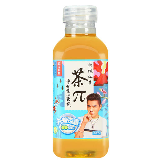 农夫山泉茶π柠檬味红茶饮料500ml 商品图0