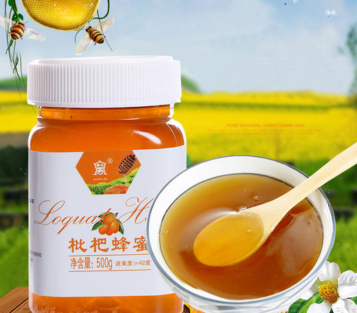 禹珍 四川特产北川高山枇杷花蜂蜜 蜂密农家土蜂蜜 500g/瓶 商品图3