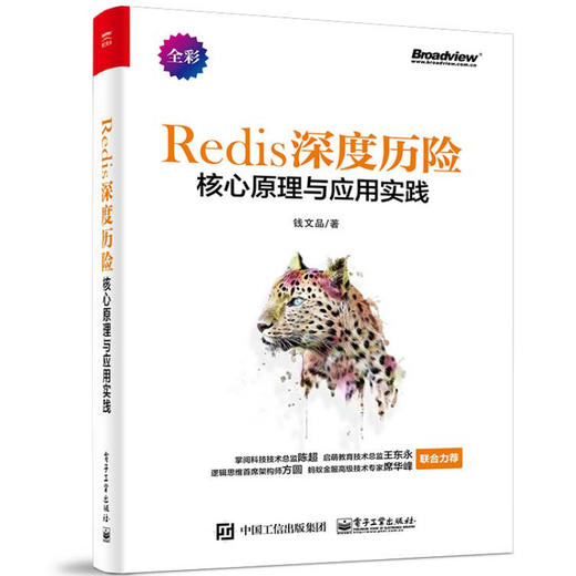 Redis 深度历险：核心原理与应用实践 商品图0