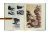 Trends In Modern Chinese Painting. The Charles A. Drenowatz Collection 近代中国画/李铸晋 商品缩略图4