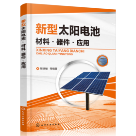 新型太阳电池：材料·器件·应用