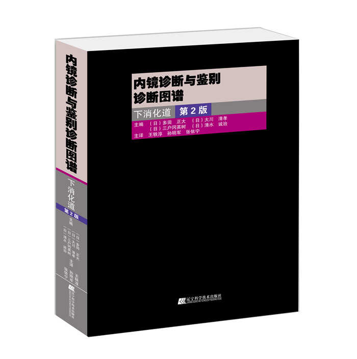 内镜诊断与鉴别诊断图谱：下消化道(第2版)
