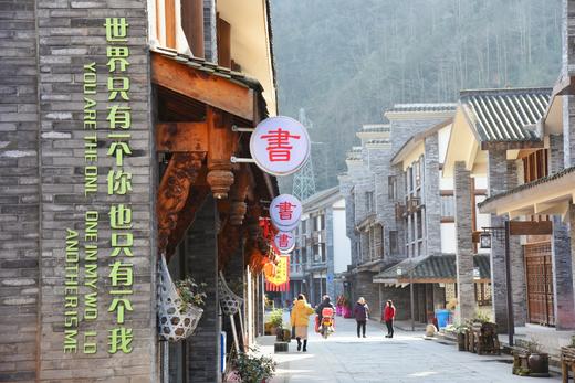 【大邑-465号民宿】单房预定，2房，去大邑的斜源小镇，依山傍水风景秀丽的共享单房xyjs 商品图2