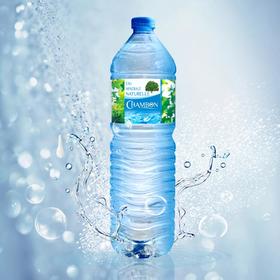 六瓶 尚波法国天然矿泉水1.5LChambon Natural Mineral Water 6*1.5L（保质期至2019年5月13日）
