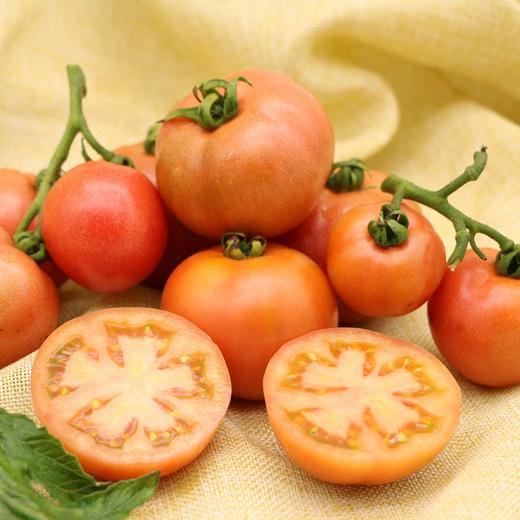 下架嘎啦水果番茄500g