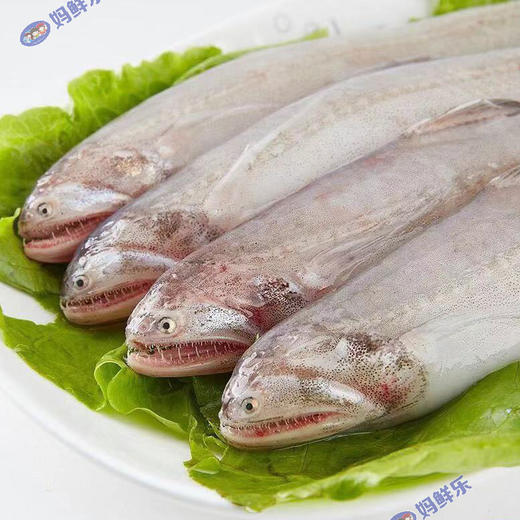 【野生豆腐鱼】肉质细嫩 野生海捕 码头直发 一斤4-7条,顺丰冷链到家