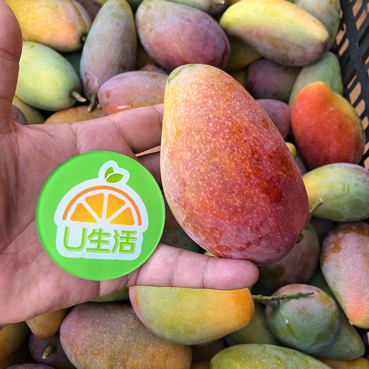 三亚树上熟贵妃芒 商品图8