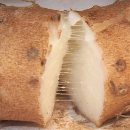 绿源有机粗山药2.5KG （SGS农残、重金属检测）【减肥、免疫力低人群】 包邮 商品图3