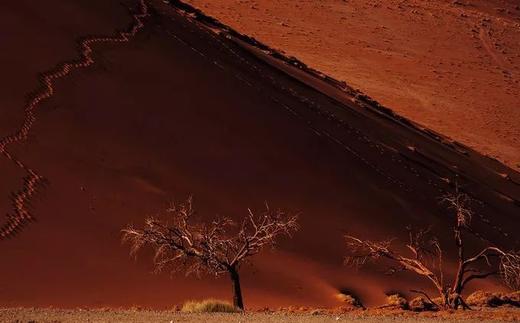 纳米+纳马夸两国定制 商品图2