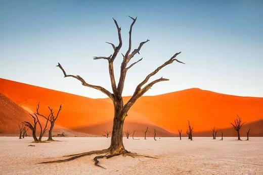 纳米+纳马夸两国定制 商品图12