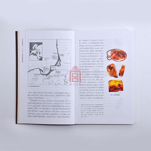 紫禁书系第五辑 中国古代琥珀艺术 古代中西文化琥珀艺术交流 商品图4