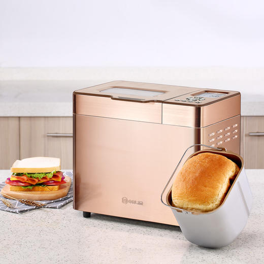 东菱BM1352AE-3C 面包机智能家用全自动多功能无糖和面机 商品图0