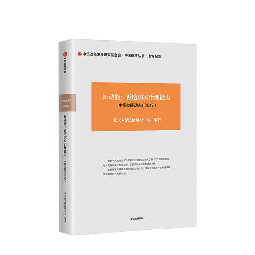 新动能 再造国家治理能力 中国发展动态（2017）人文社科 商品图0