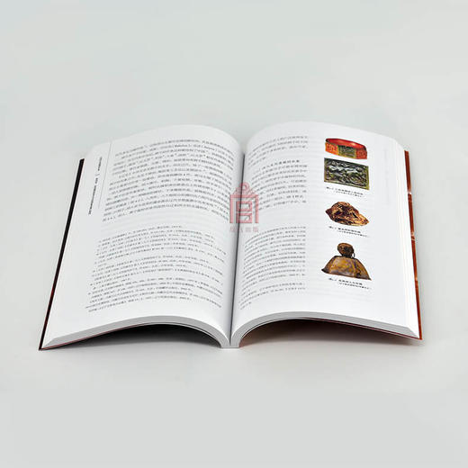 紫禁书系第五辑 中国古代琥珀艺术 古代中西文化琥珀艺术交流 商品图1