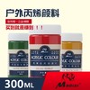 马蒂斯300ml户外丙烯颜料 商品缩略图0