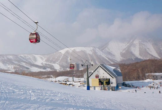 【新品】日本北海道留寿都威斯汀6日滑雪之旅 2020年2月23日 商品图4
