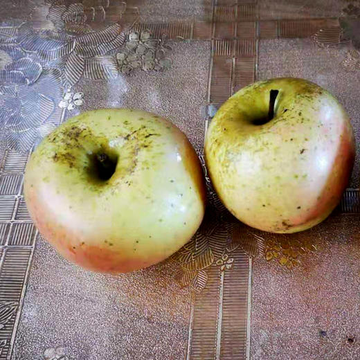 粉苹果宋洁生态苹果只发广东