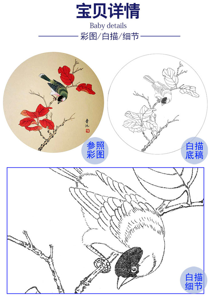 戴青池工笔花鸟白描底稿红叶小鸟小品多种白描尺寸可选dq21