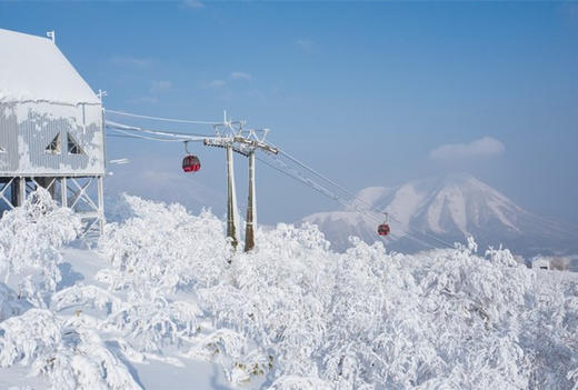 【新品】日本北海道留寿都威斯汀6日滑雪之旅 2020年2月23日 商品图1