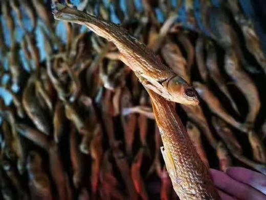 【团购特惠】东江湖火焙鱼，好山好水，出好鱼，正宗湘味……馈赠佳品…… 商品图2