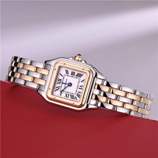 卡地亚 cartier CLÉ DE CARTIER钥匙系列女士石英表 W2PN0006 商品图1