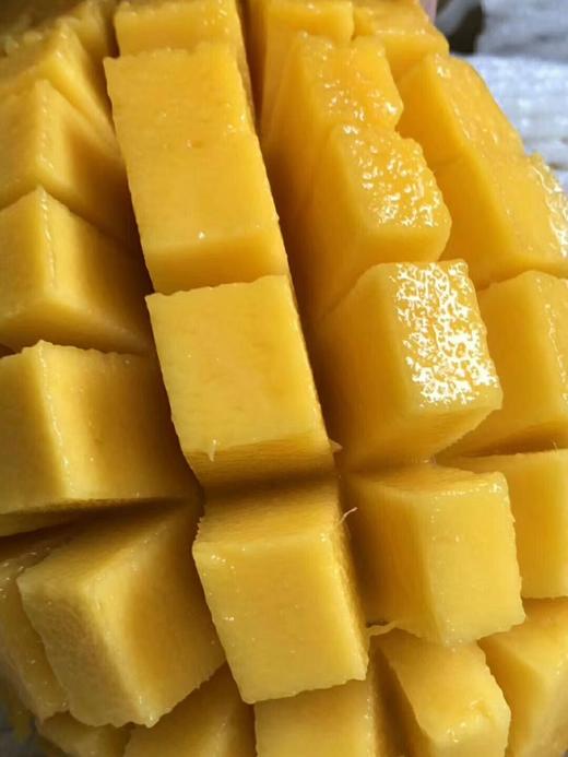 水仙芒果连续热卖五年的拳头产品一箱68个