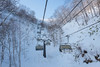 【新品】日本北海道留寿都威斯汀6日滑雪之旅 2020年2月23日 商品缩略图2