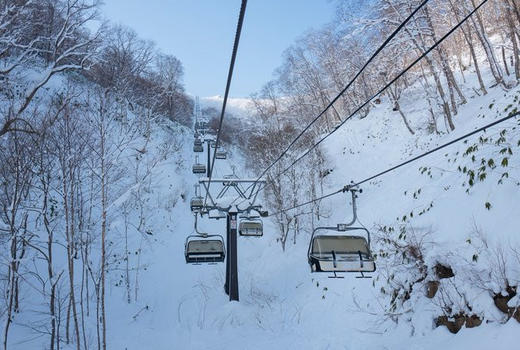 【新品】日本北海道留寿都威斯汀6日滑雪之旅 2020年2月23日 商品图2