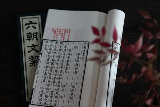 许氏朱墨本《六朝文絜》 商品图9