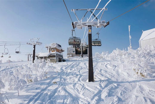 【新品】日本北海道留寿都威斯汀6日滑雪之旅 2020年2月23日 商品图0