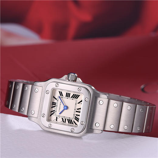 卡地亚Cartier 山度士系列女士石英表 W20056D6 商品图1