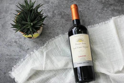 闺蜜节精选3人成团团长免单智利太阳之光珍藏卡曼尼干红葡萄酒750ml2