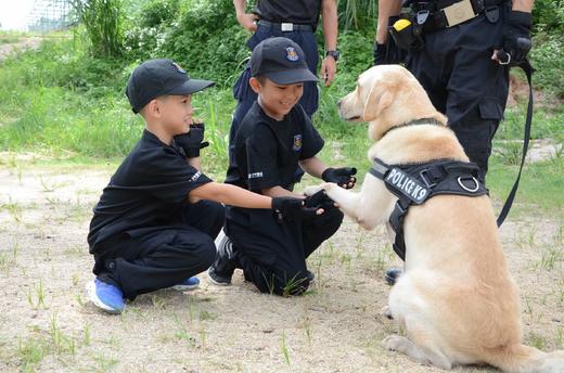 砺剑出击营（14天） 商品图2