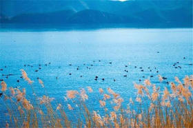【大香格里拉·洛克环线】泸沽湖、香格里拉、梅里雪山、稻城亚丁、俄亚大寨10天摄影团